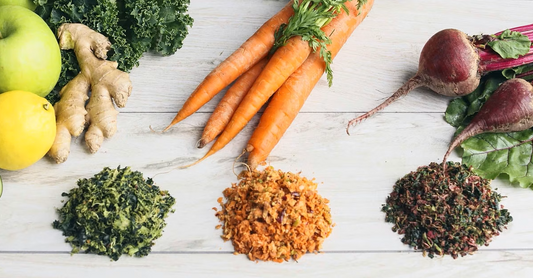 Don’t Toss the Pulp! What I’m Doing With My Juice Leftovers!!